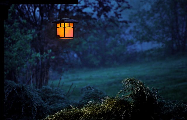 Solar Garden Lights Price Guide